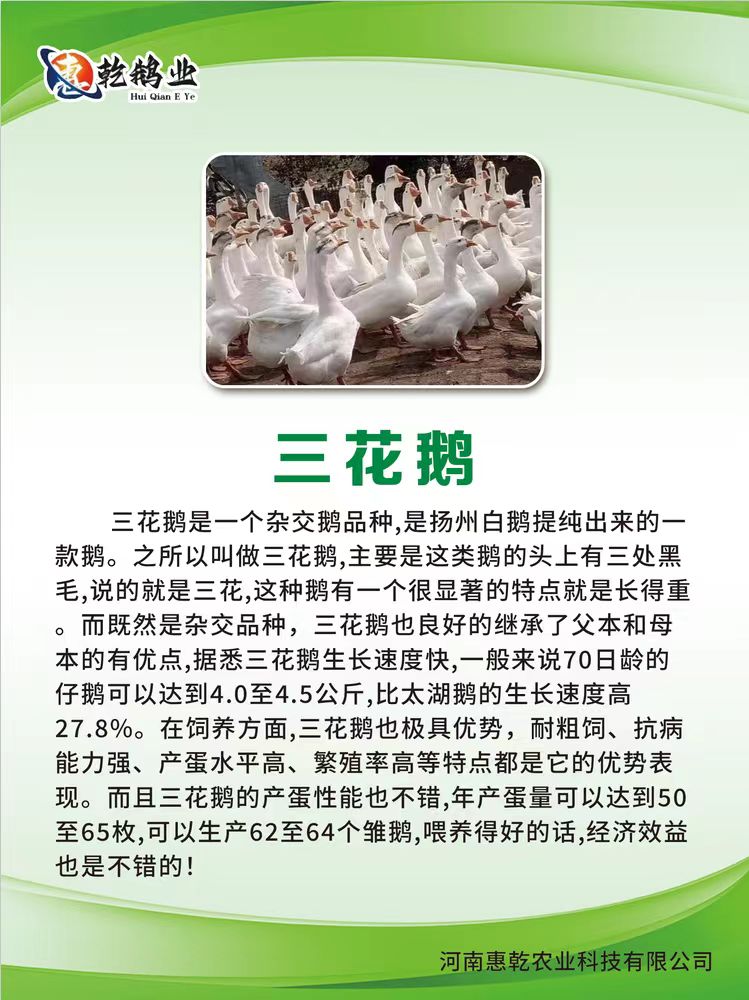 微信图片_20241213192651.jpg