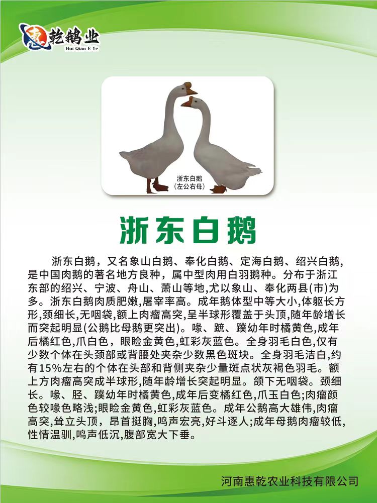 微信图片_20241213192657.jpg